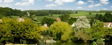 essences local de l'aisne